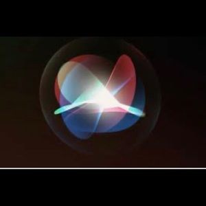 Meet your Posher, Reginald